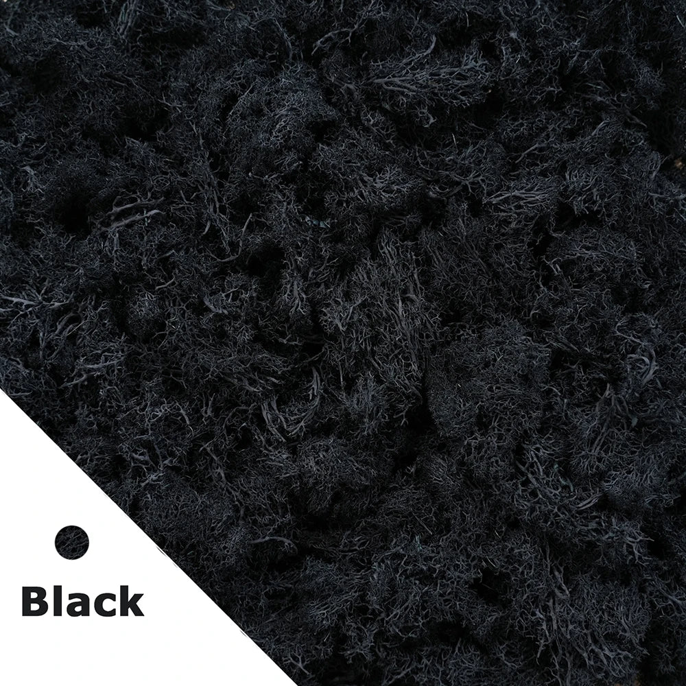 Preserved Reindeer Moss for DIY & Decor