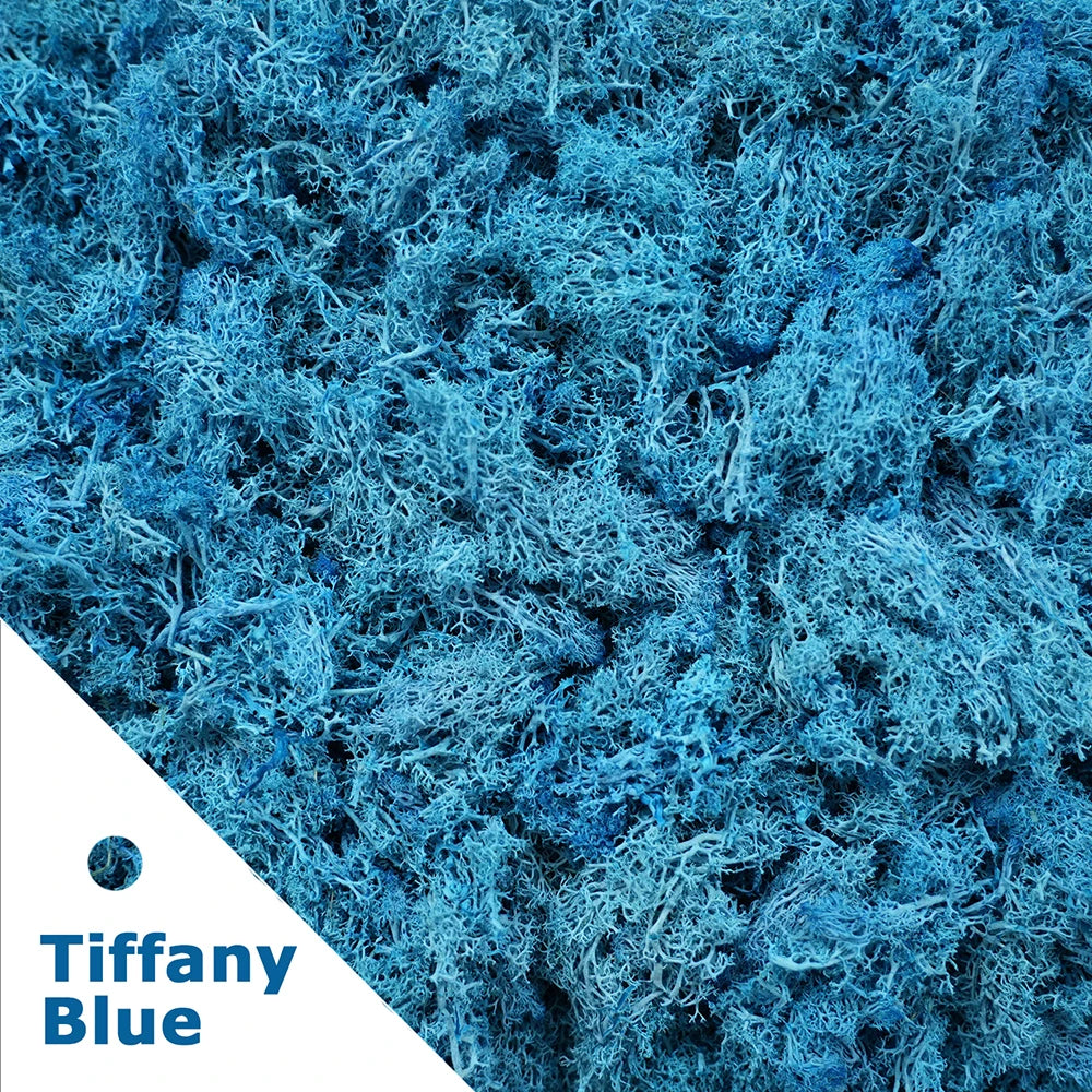 Preserved Reindeer Moss for DIY & Decor