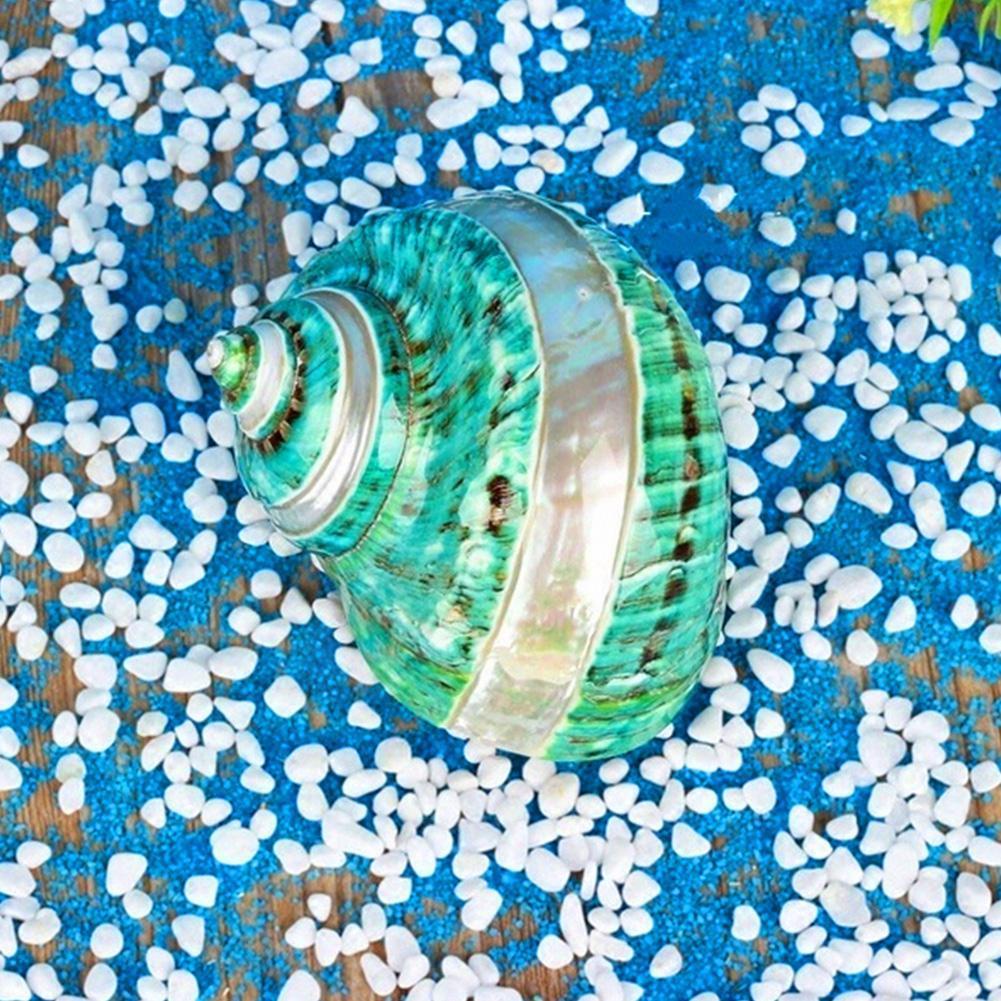 Seashell Yard Ornaments