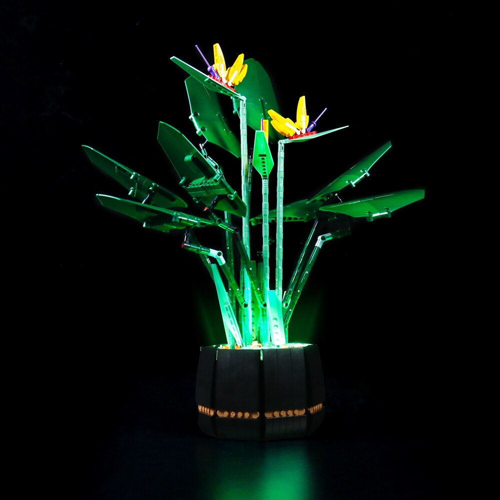 Bird Of Paradise Lamp