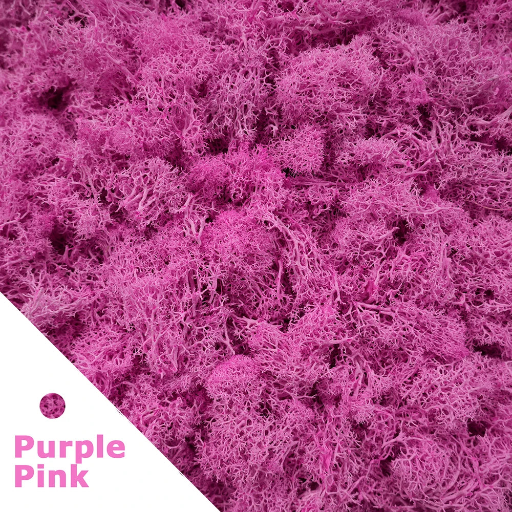 Preserved Reindeer Moss for DIY & Decor