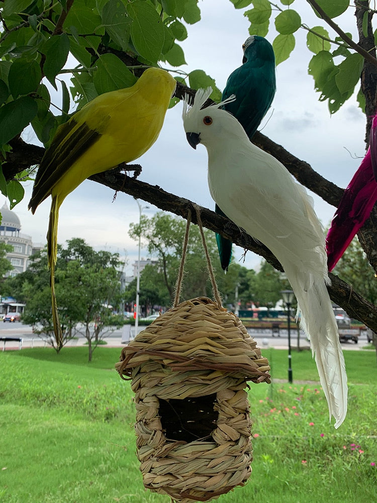Tropical Bird Yard Decorations