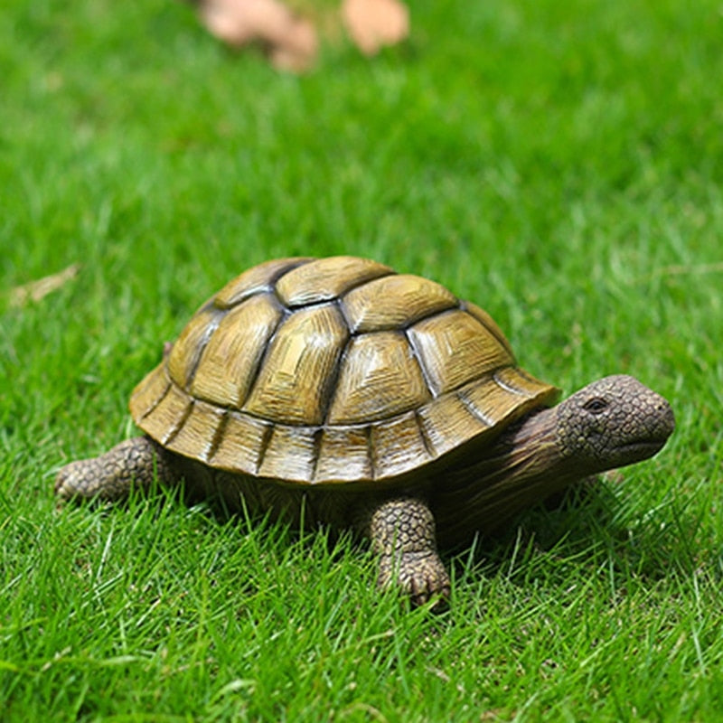 Turtle Garden Statues
