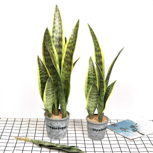 Artificial Dracaena trifasciata