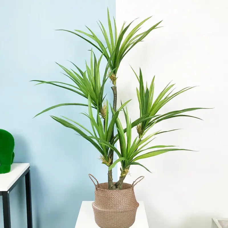 Artificial Dracaena Plant
