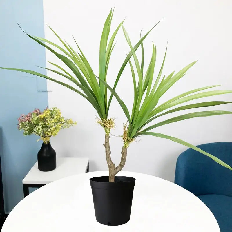 Artificial Dracaena Plant