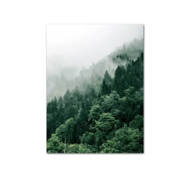 Tropical Forest poster