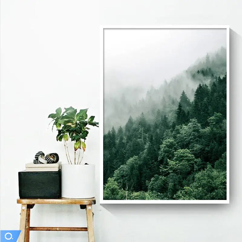 Tropical Forest poster