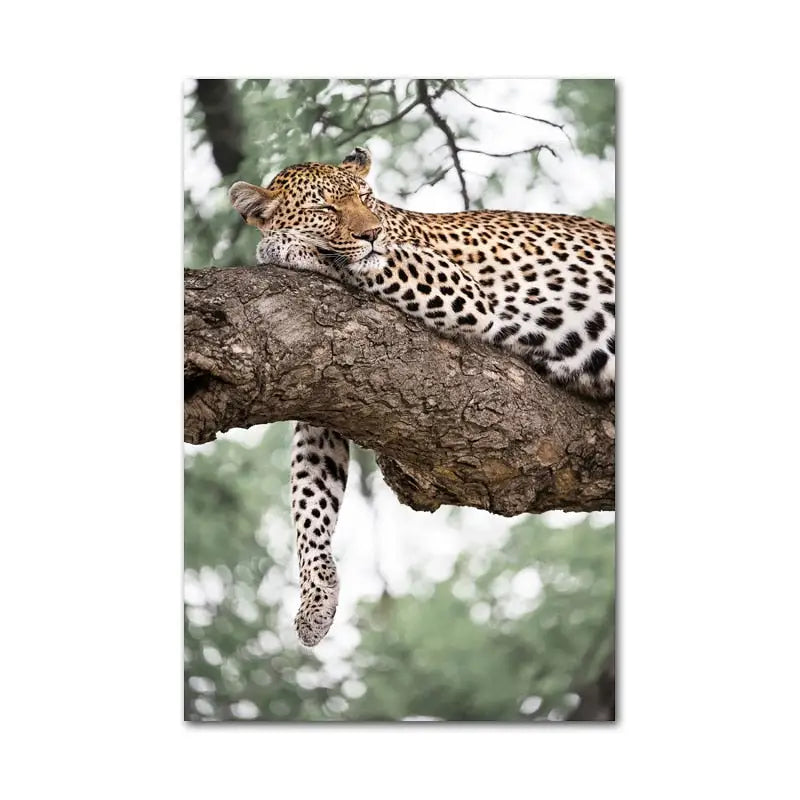 Tropical Jungle Wall Art