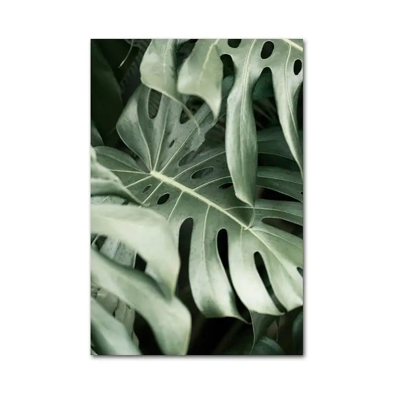 Tropical Jungle Wall Art
