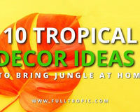 tropical-decor-ideas
