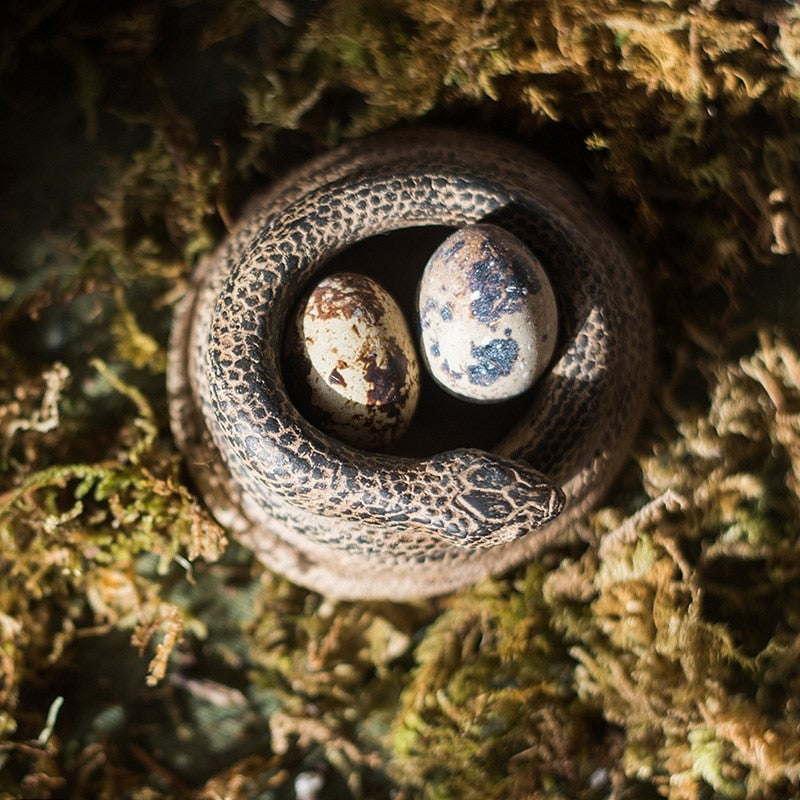 Snake Candle Holders