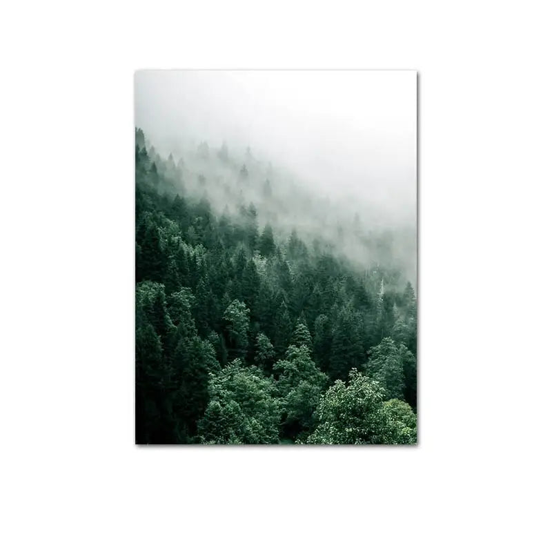 Tropical Forest poster